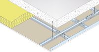 Siniat plafond sur fourrure parement simple sous bois BA standard